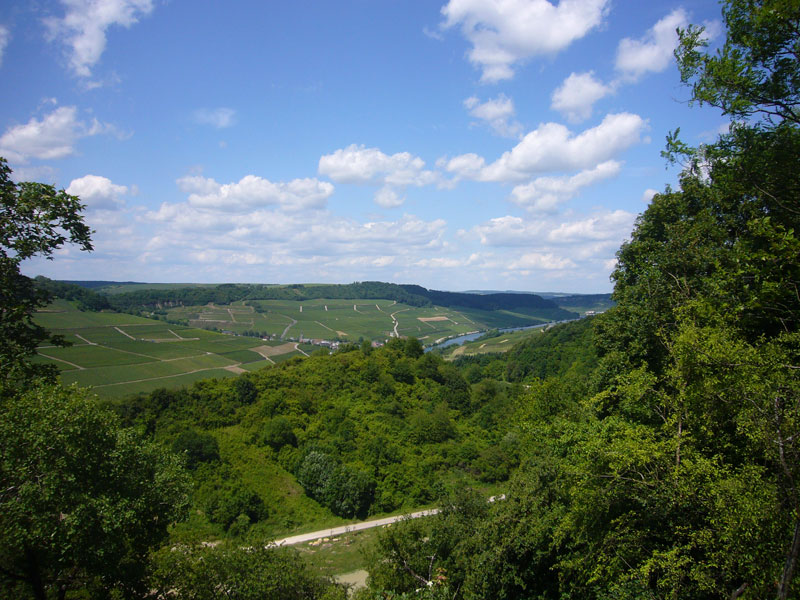 Blick &uuml;ber das Moseltal