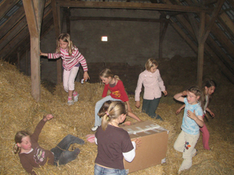 Heuspass auf dem Bauernhof in den Ferien
